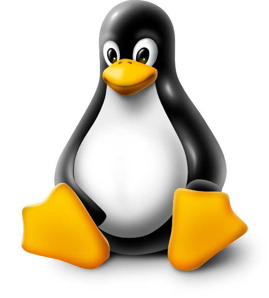 Linux VPS SSD Server High Performance